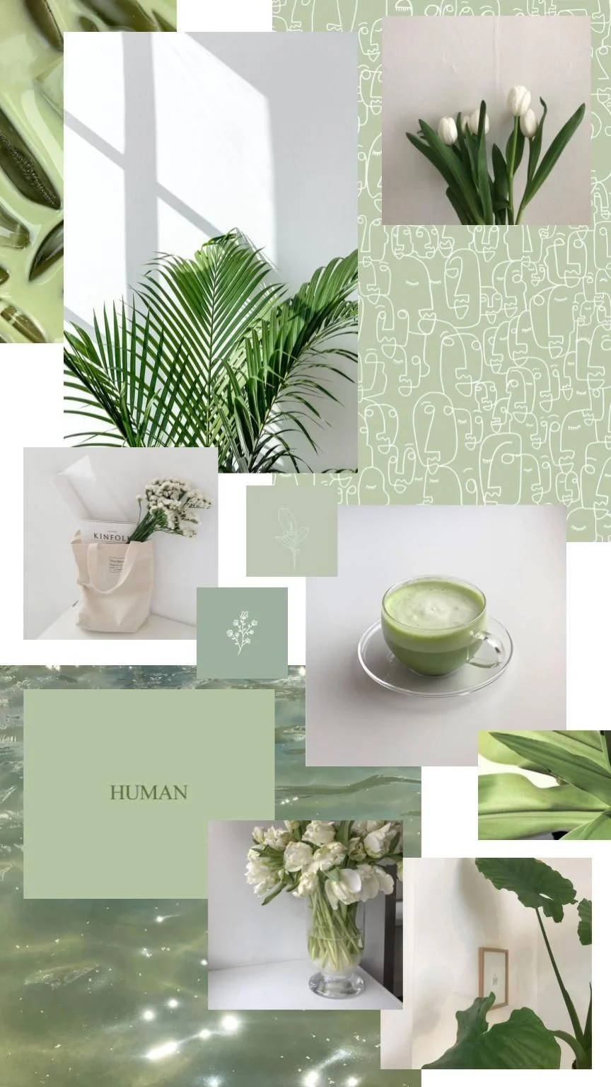 Green And White Aesthetic Collage Background