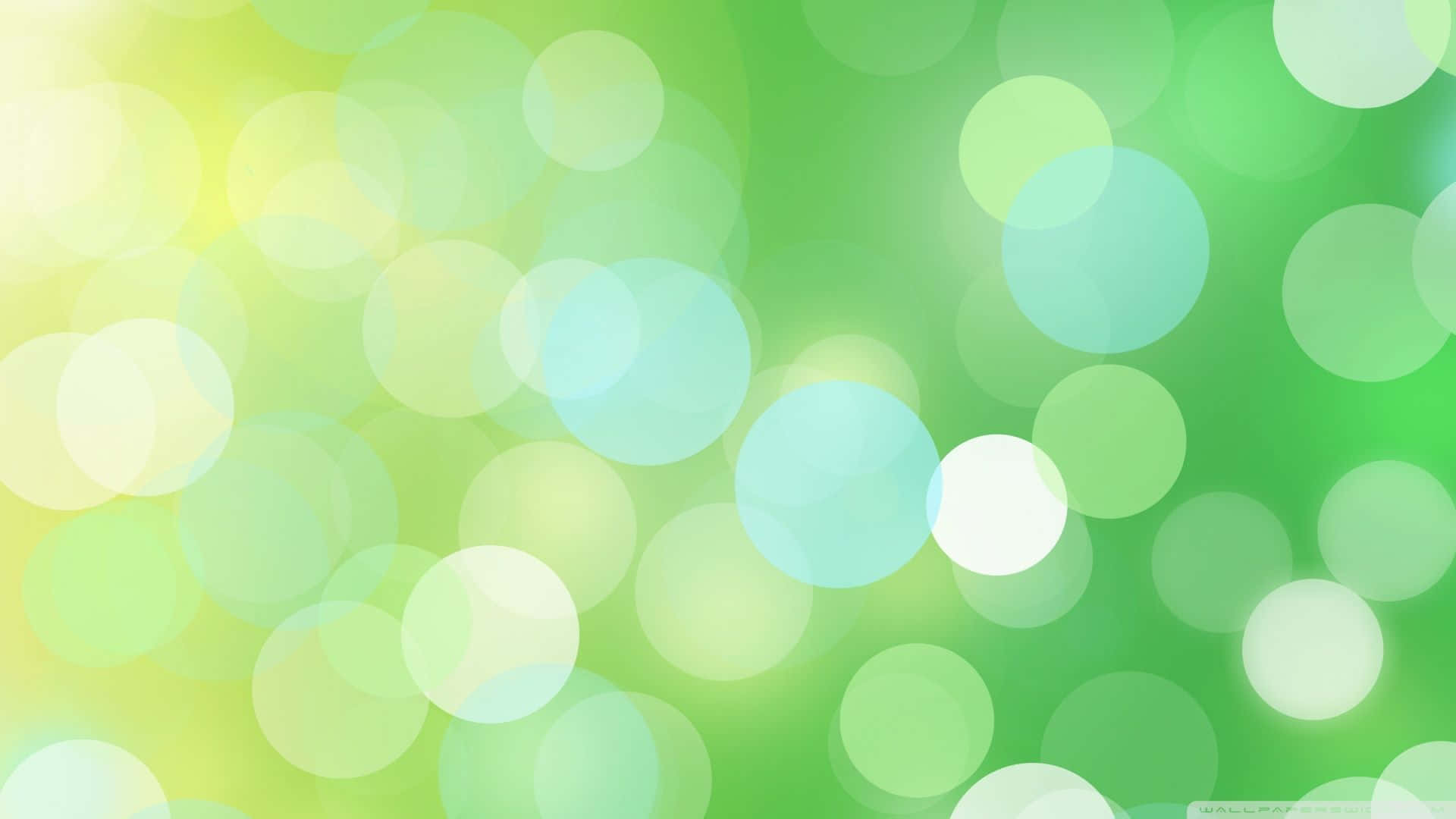 Green And White Bokeh Background