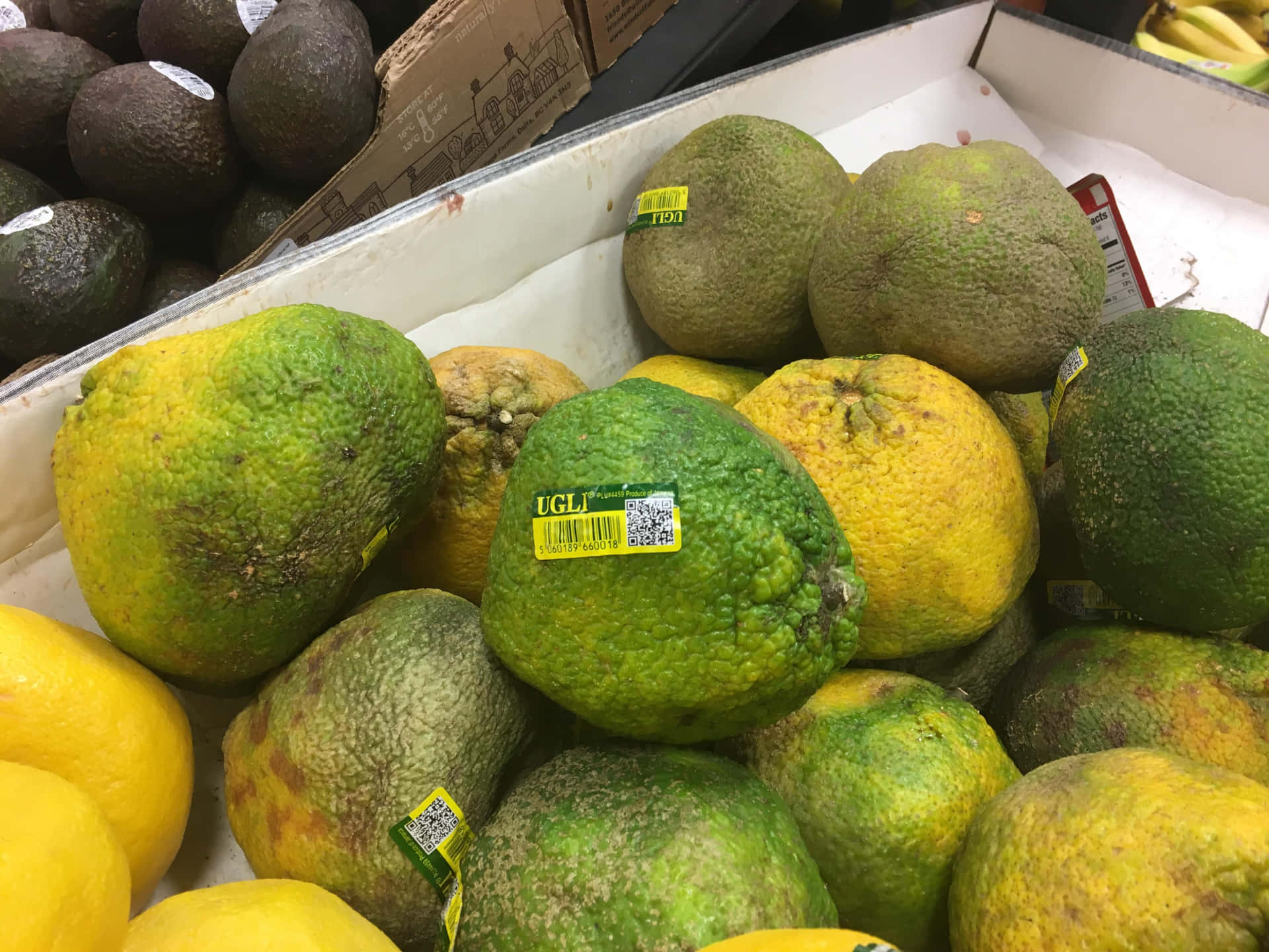 Green And Yellow Ugli Citrus Fruits Background