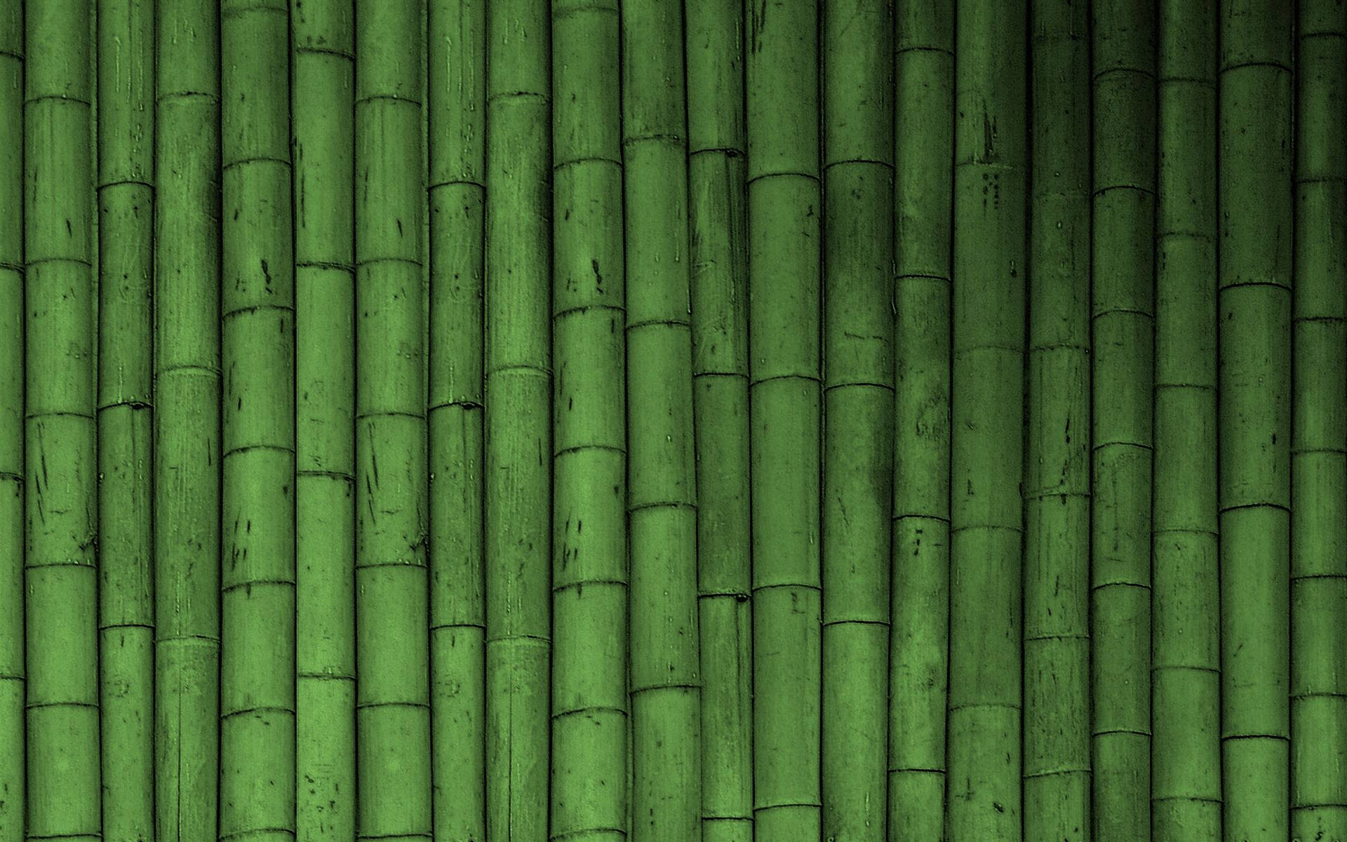 Green Bamboo Fence Background