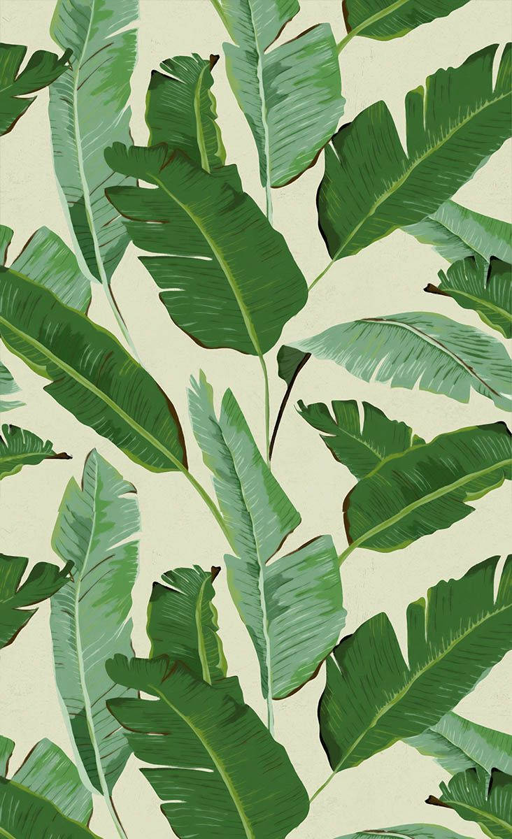 Green Banana Leaf Pattern Art Background