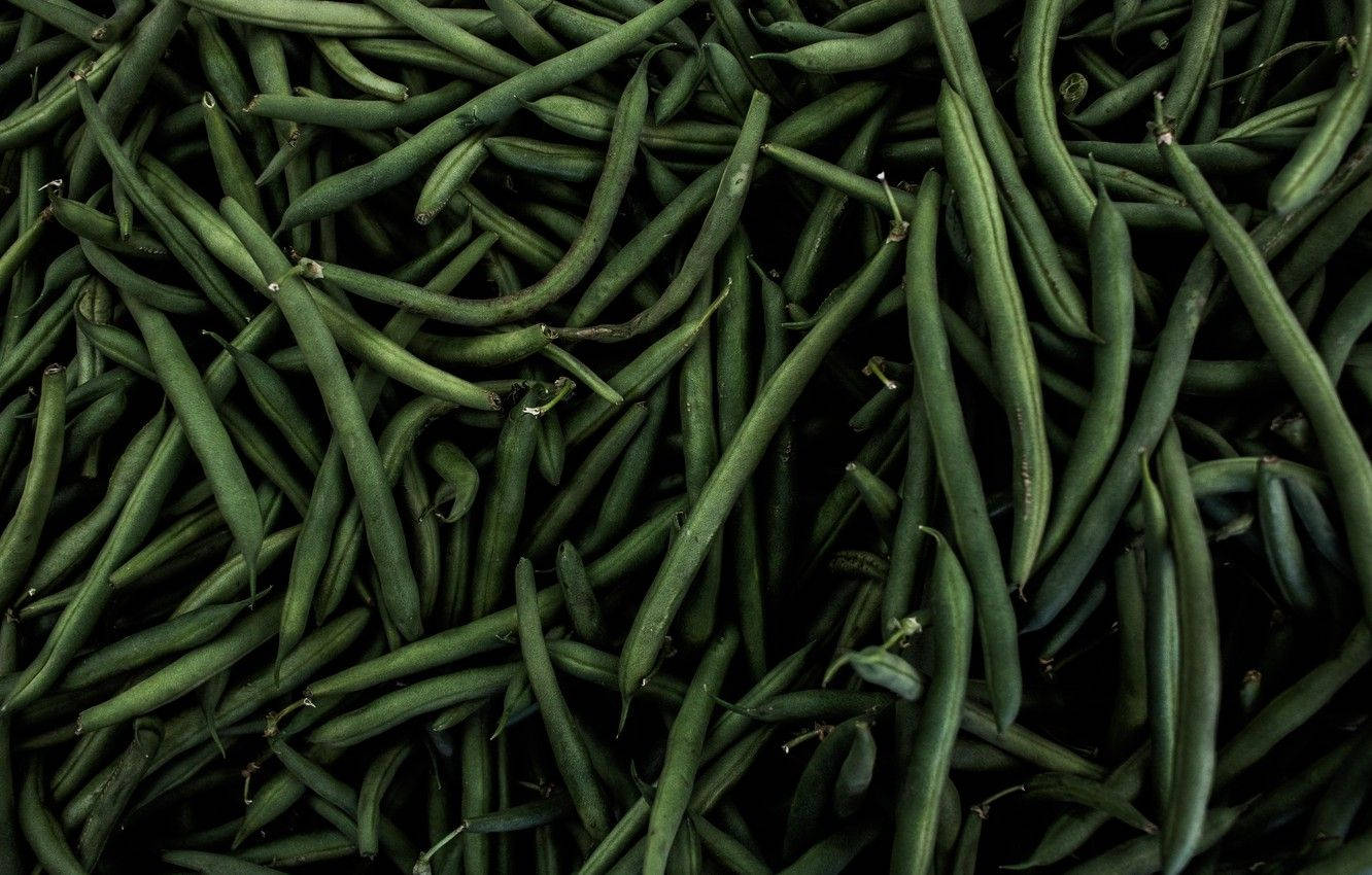 Green Beans Dark Landscape Background