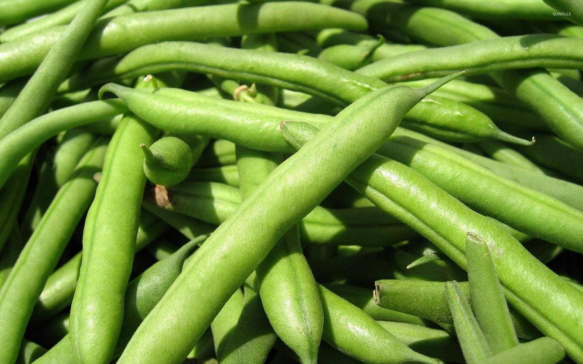 Green Beans In Daylight