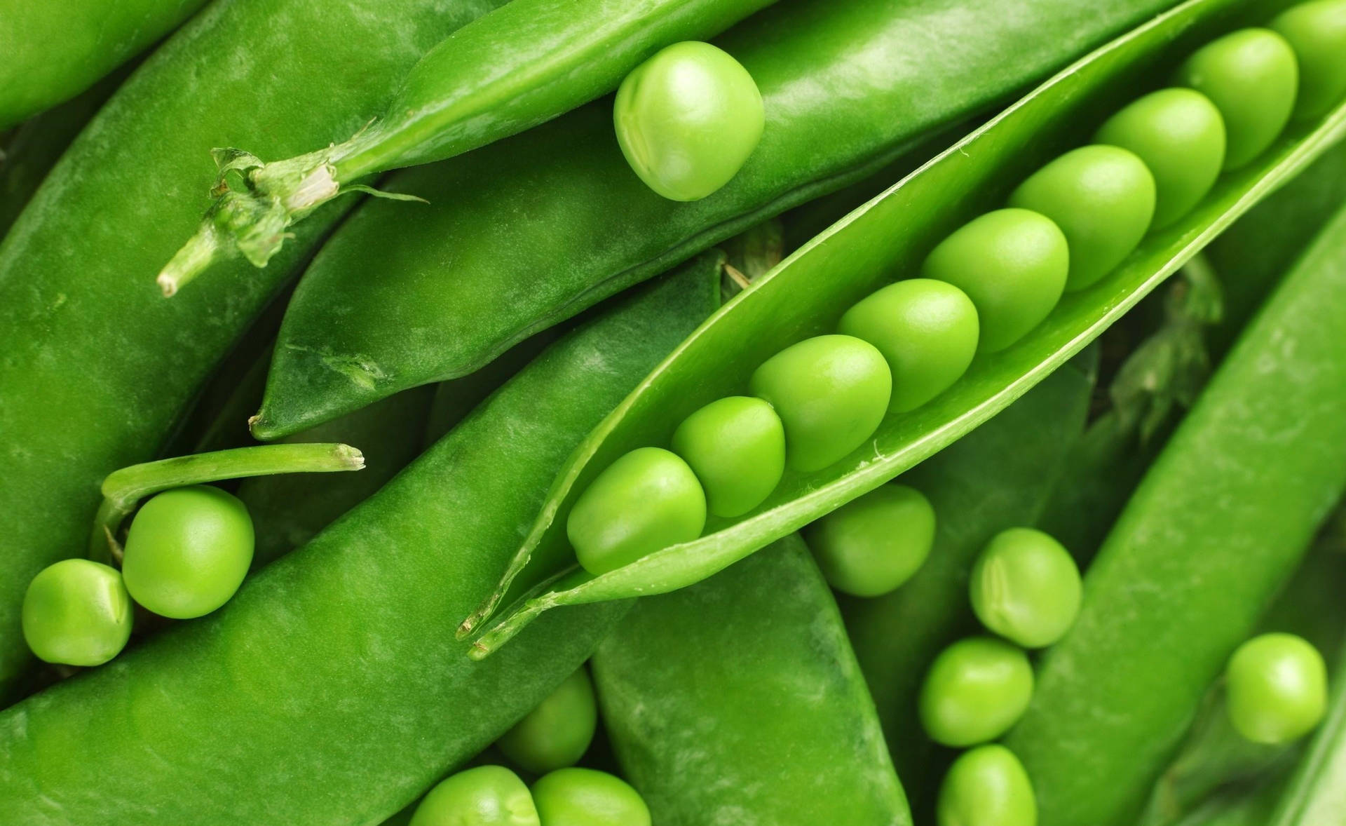 Green Beans Round Pods