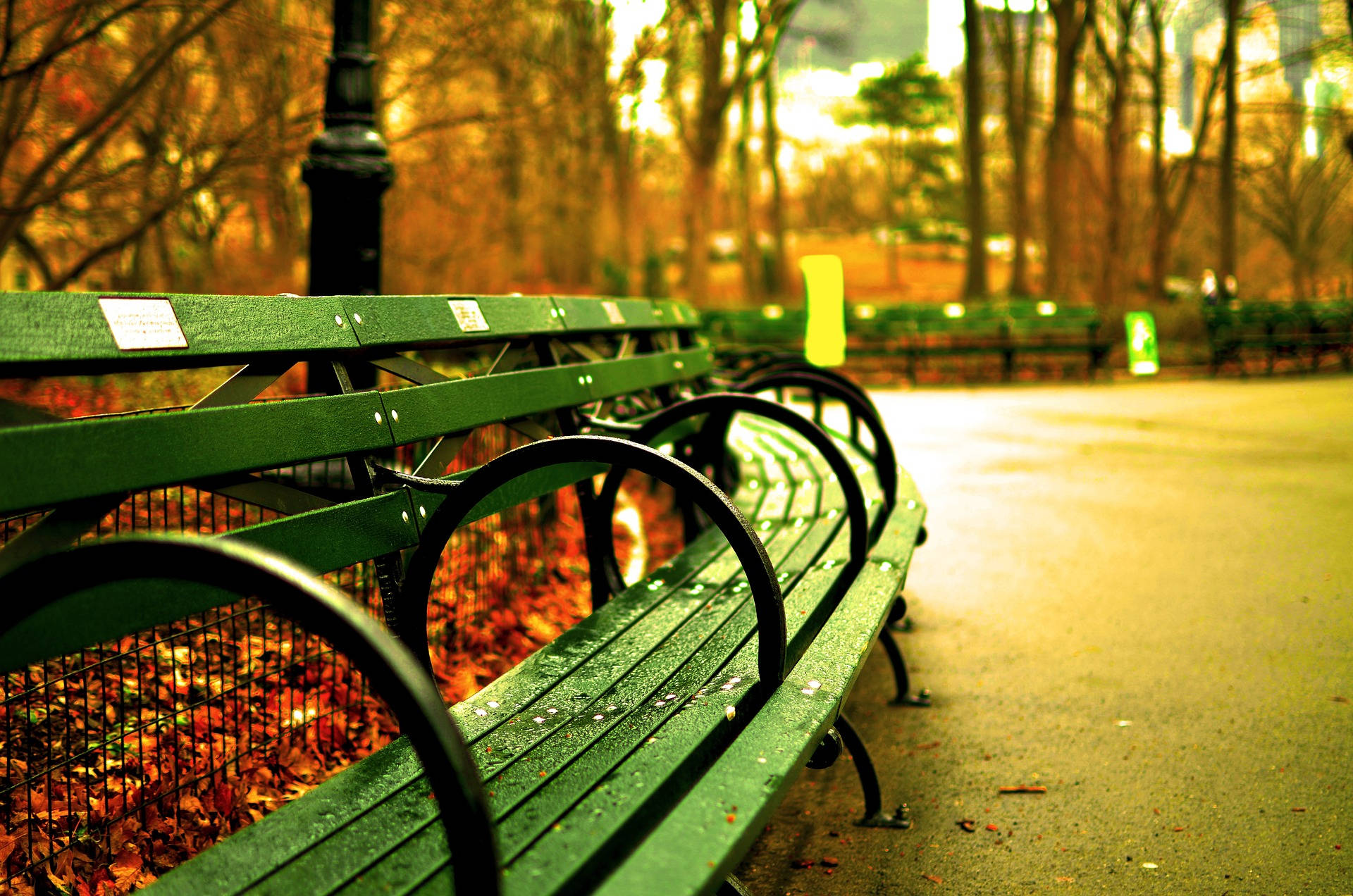 Green Bench Close-up In Central Park Background