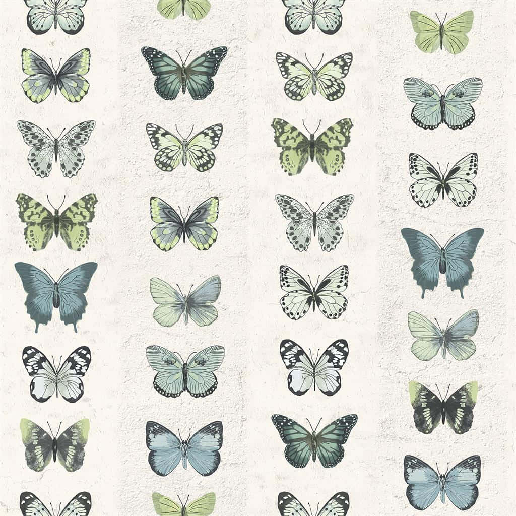 Green Butterfly Collection Background