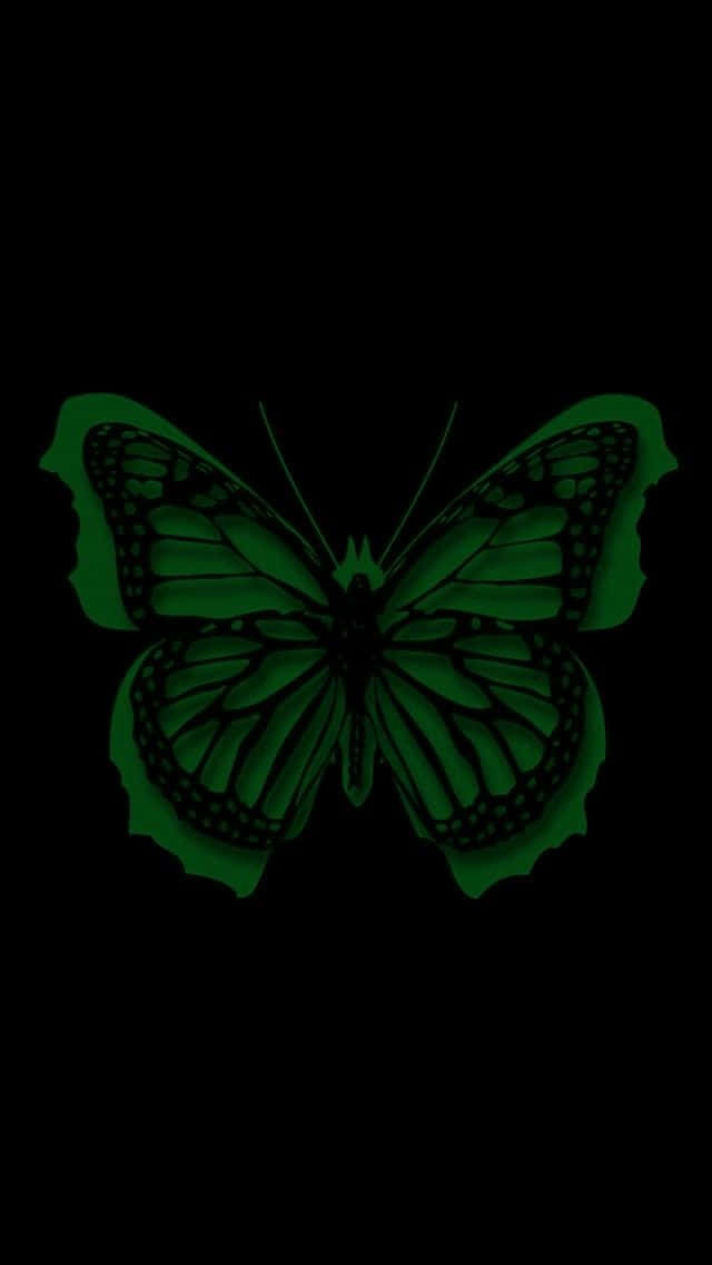 Green Butterfly Dark Aesthetic Background