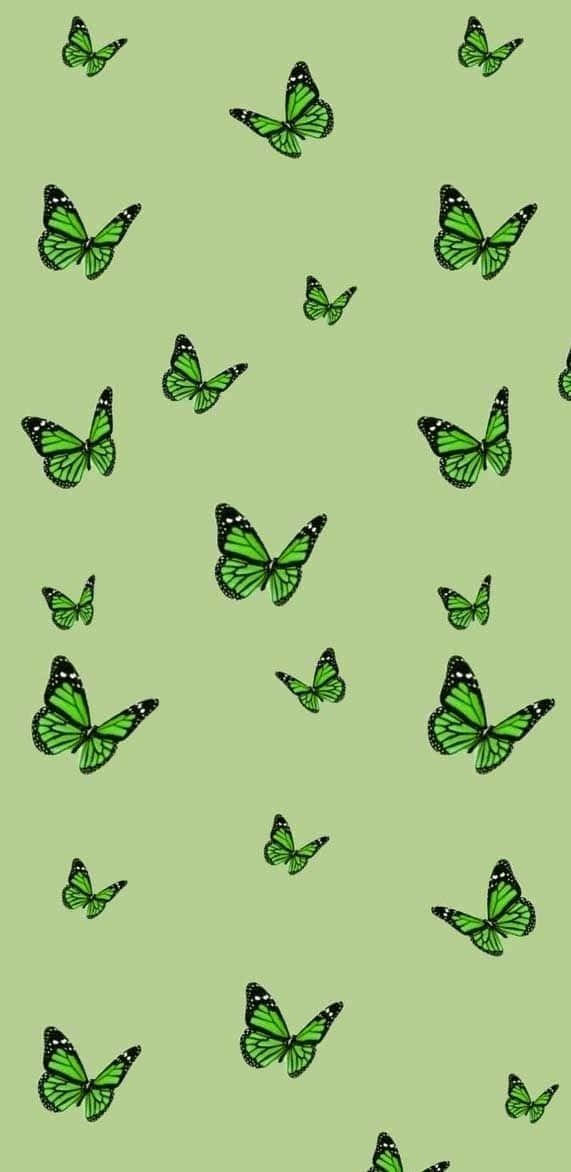 Green Butterfly Flying Around Background