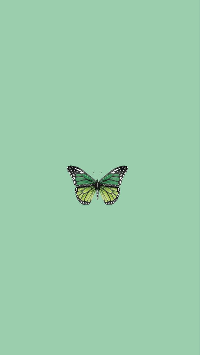 Green Butterfly Green Background Vertical Background