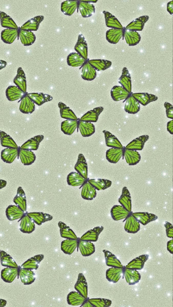 Green Butterfly Monarchs Background