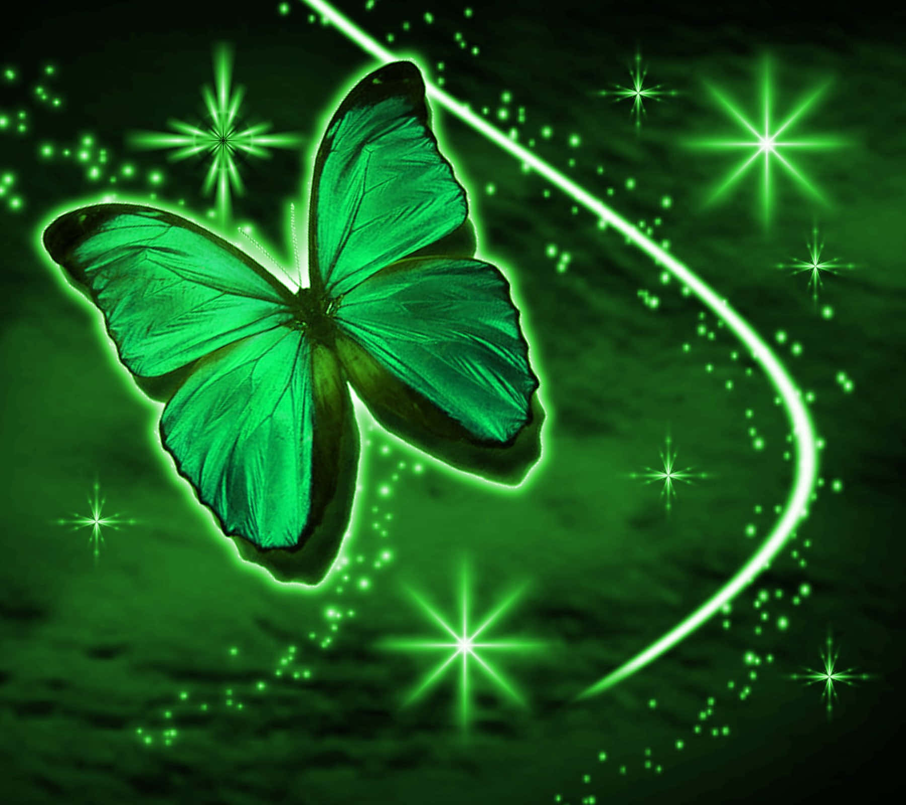 Green Butterfly Sparkling Background