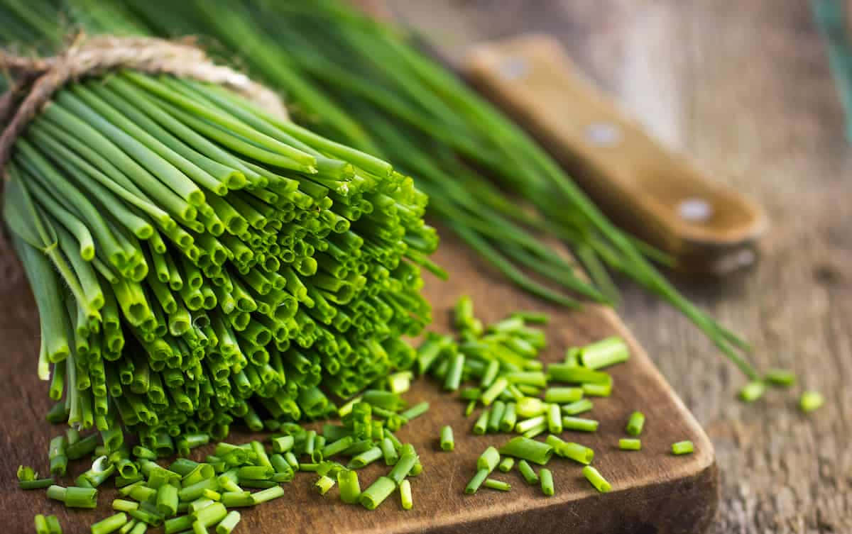 Green Chives Chopped In Small Pieces Background