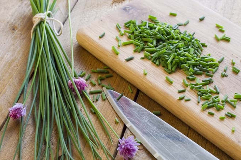 Green Chives Vegetable With Purple Blossoms Background