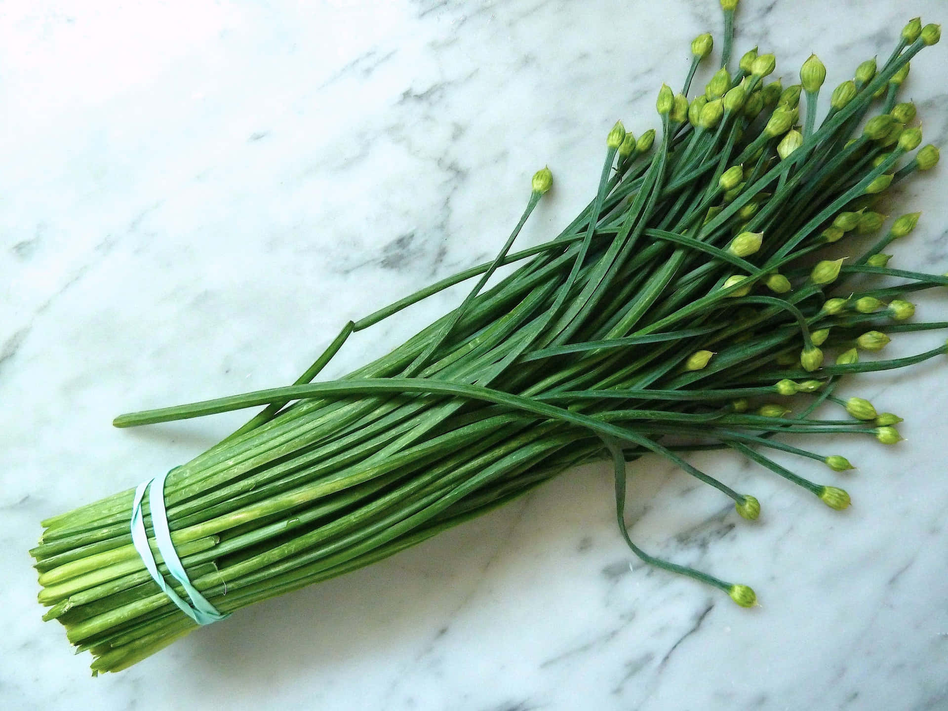 Green Chives With Yellow Green Blossoms Background