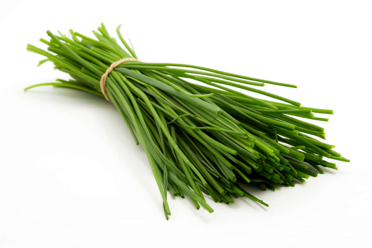 Green Chives Wrapped With Yellow Rubber Band Background