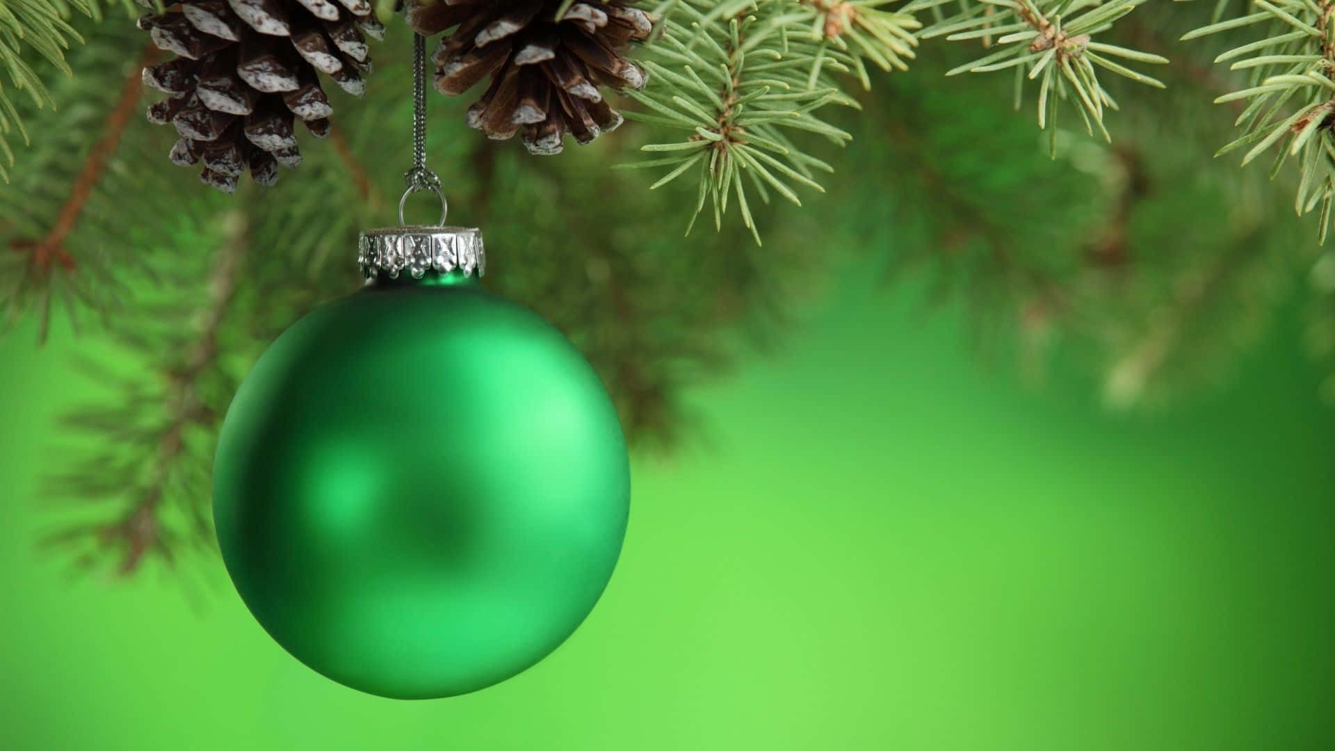 Green Christmas Ball Hanging On A Pine Tree Branch