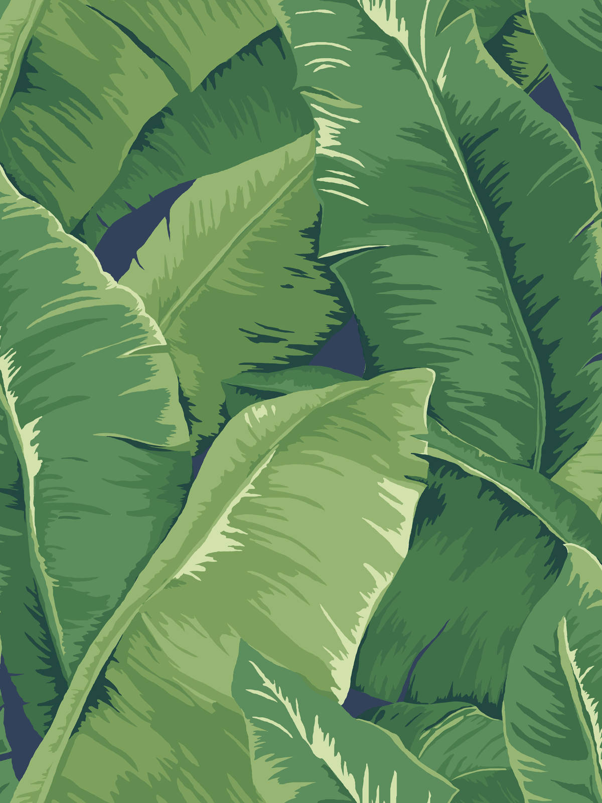Green Clustered Banana Leaf Hd Background