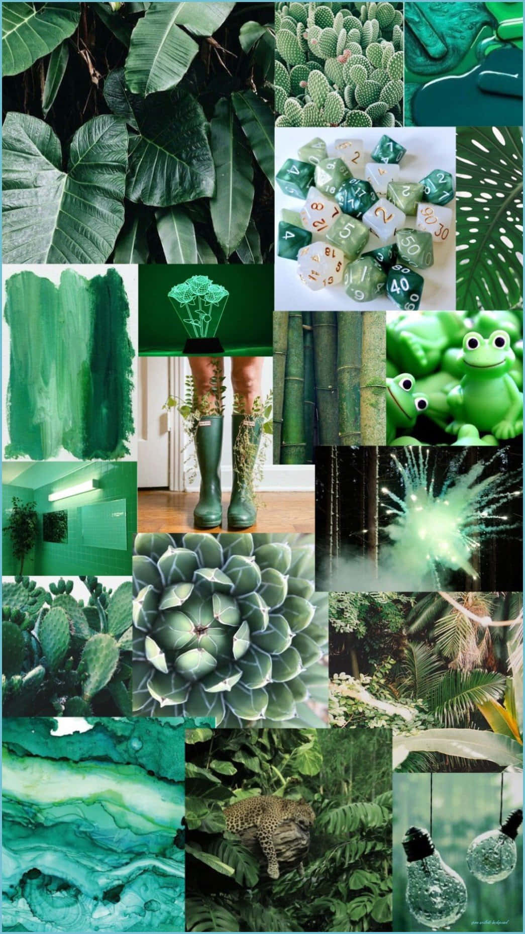 Green Collage Frogs Dices