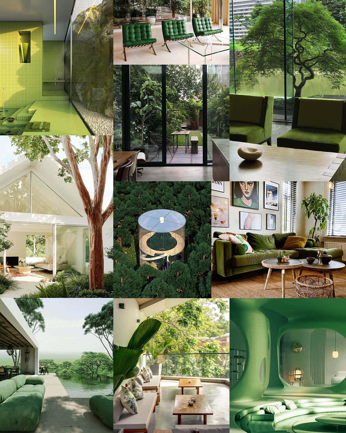 Green Collage Indoor Views