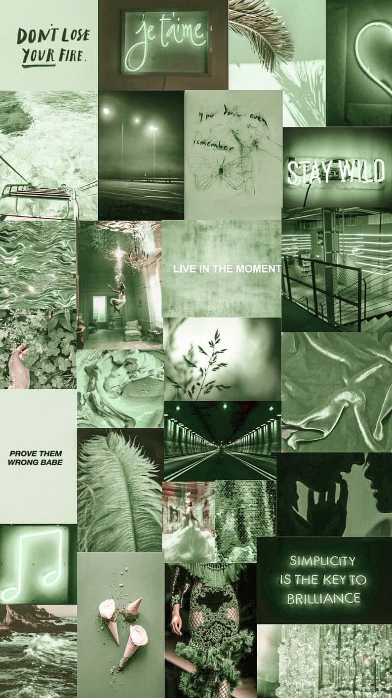 Green Collage Of Nature - Unlock Your Creativity Background