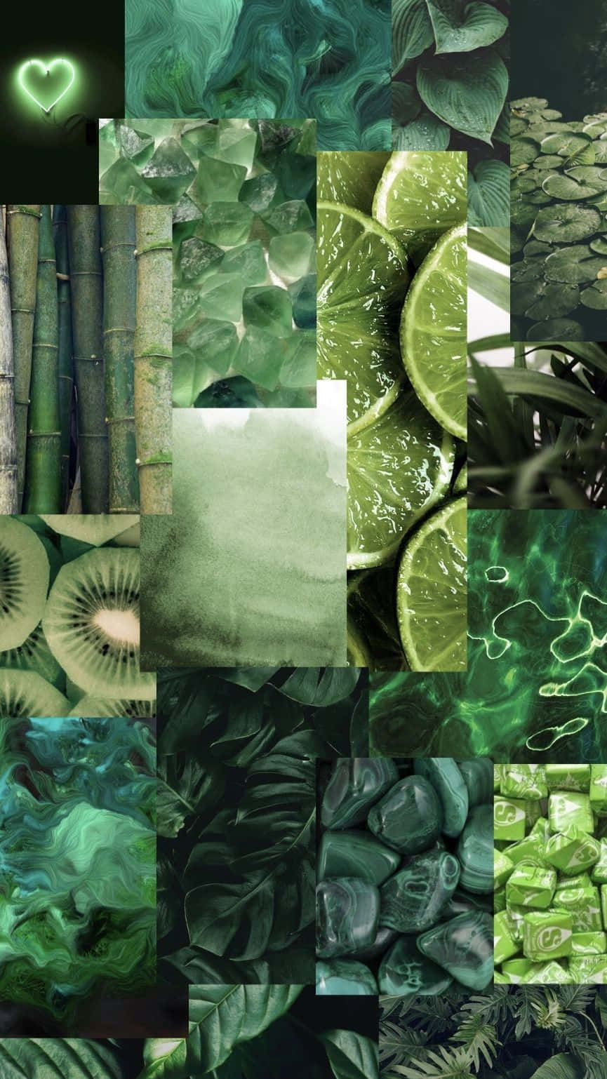 Green Collage Stones Lemon Bamboo Background