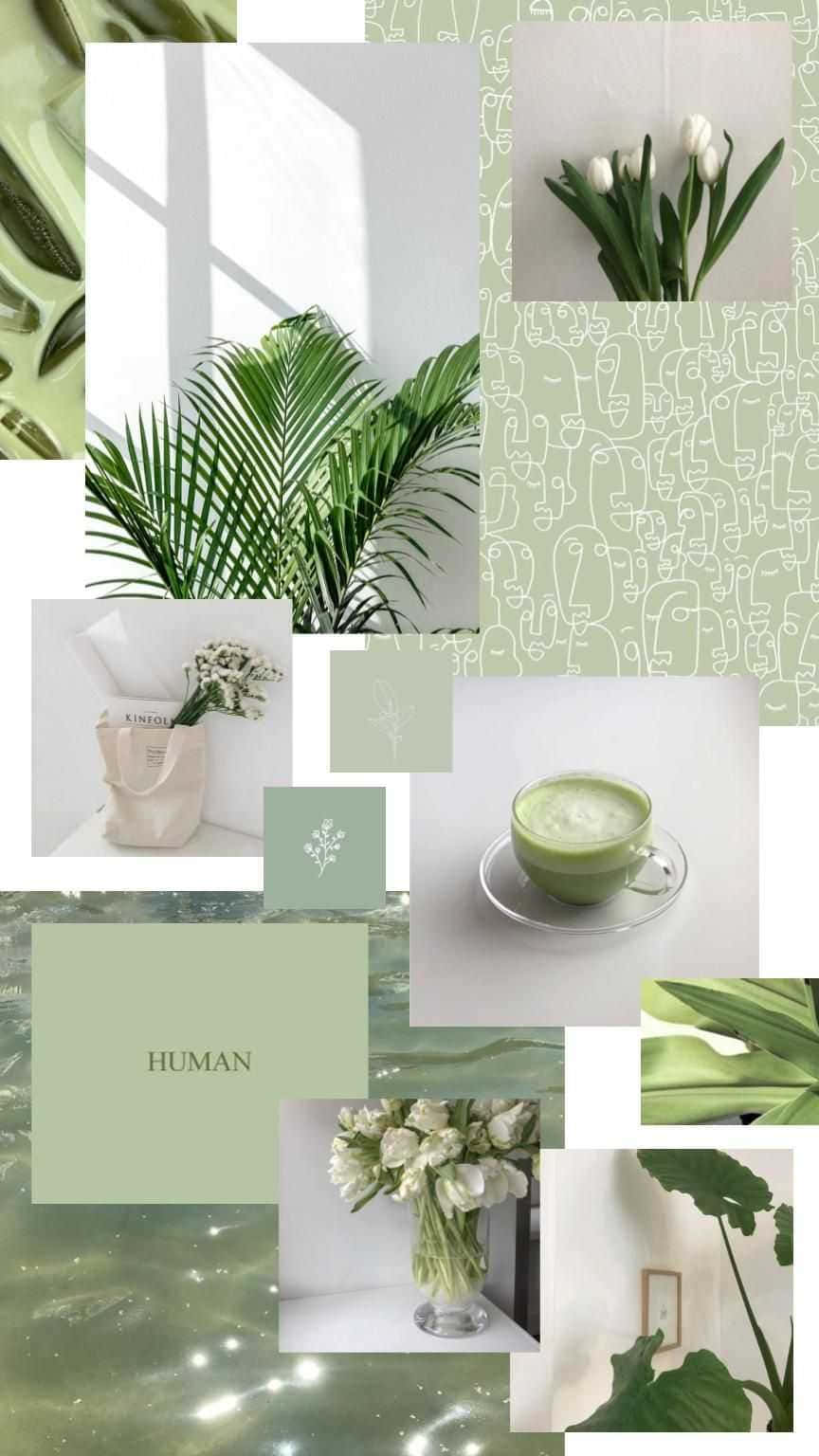 Green Collage Tea Garden Plants Background