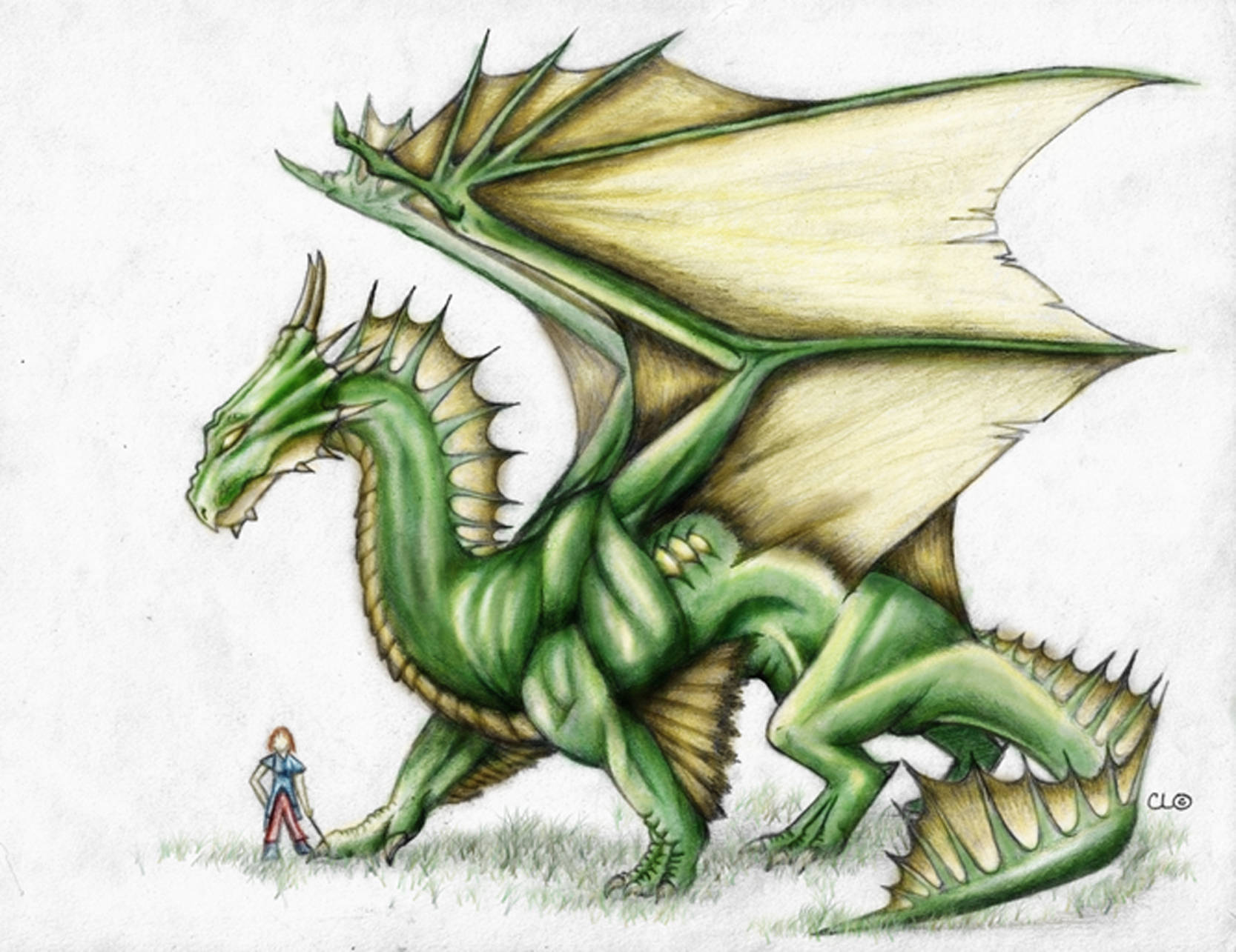 Green Earth Dragon Drawing Background