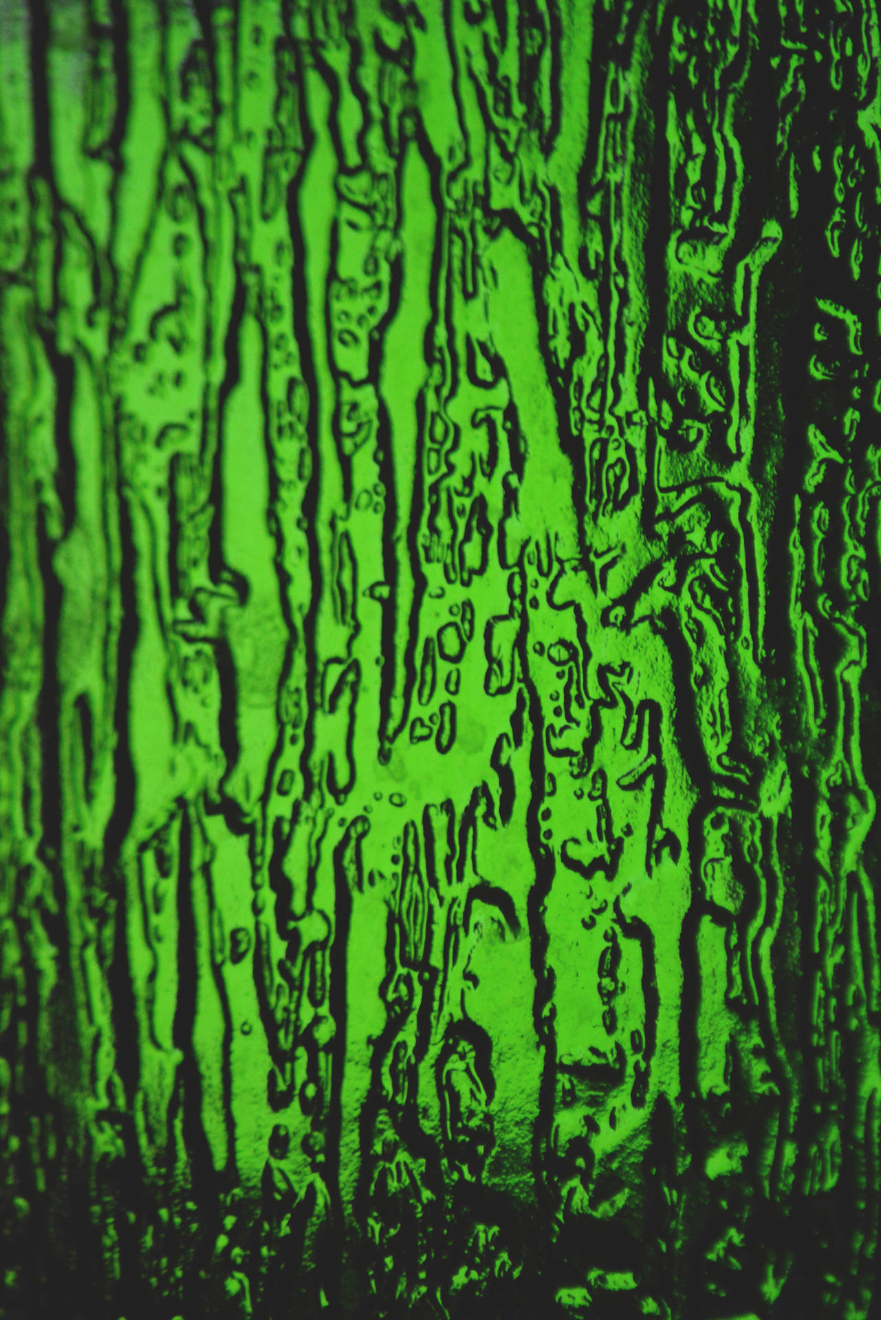 Green Embossed Phone Background