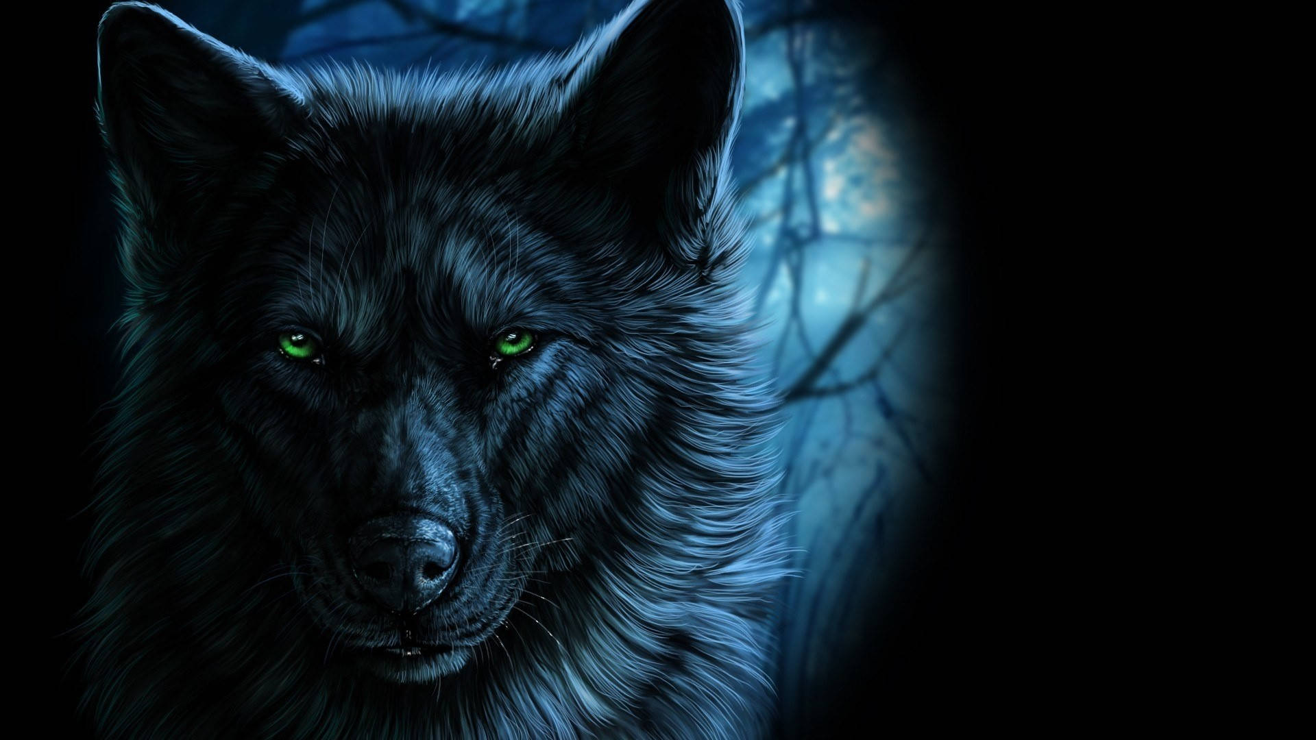 Green-eyed Black Wolf Background