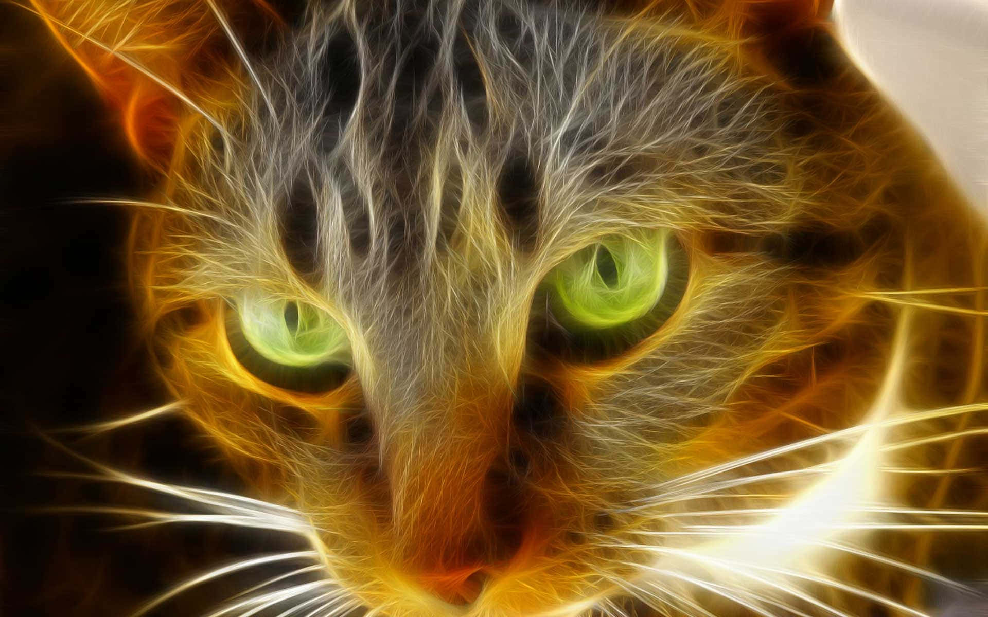 Green Eyes On Glowing Tabby Cat