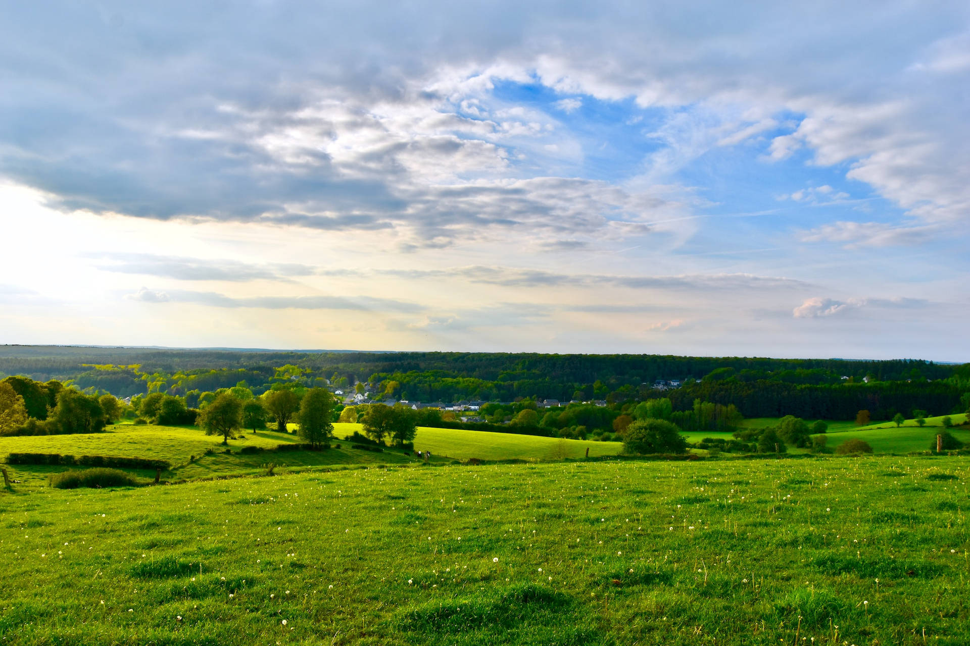 Green Farm With Grass And Flowers In Chatillon Belgium Background