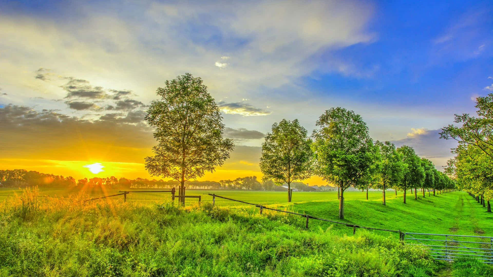 Green Farm With Sun Rise Background