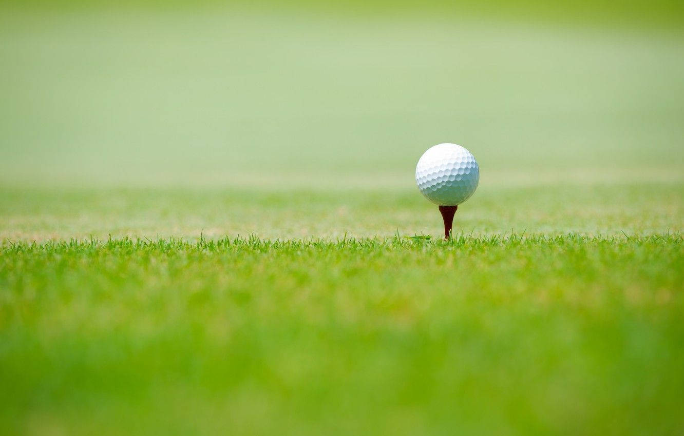 Green Field Golfing Desktop Background