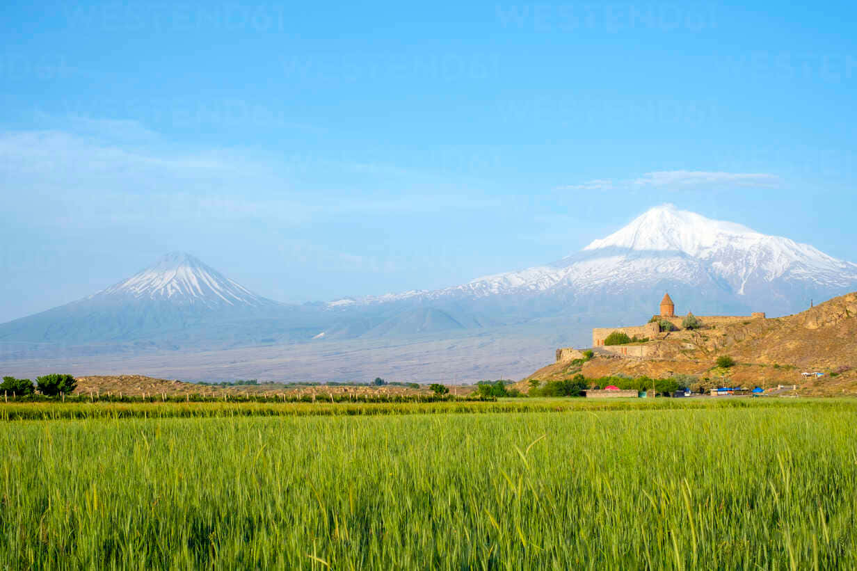 Green Field Khor Virap In Background Background