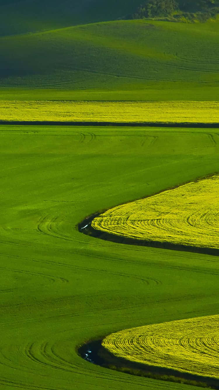 Green Field Nature Iphone Background