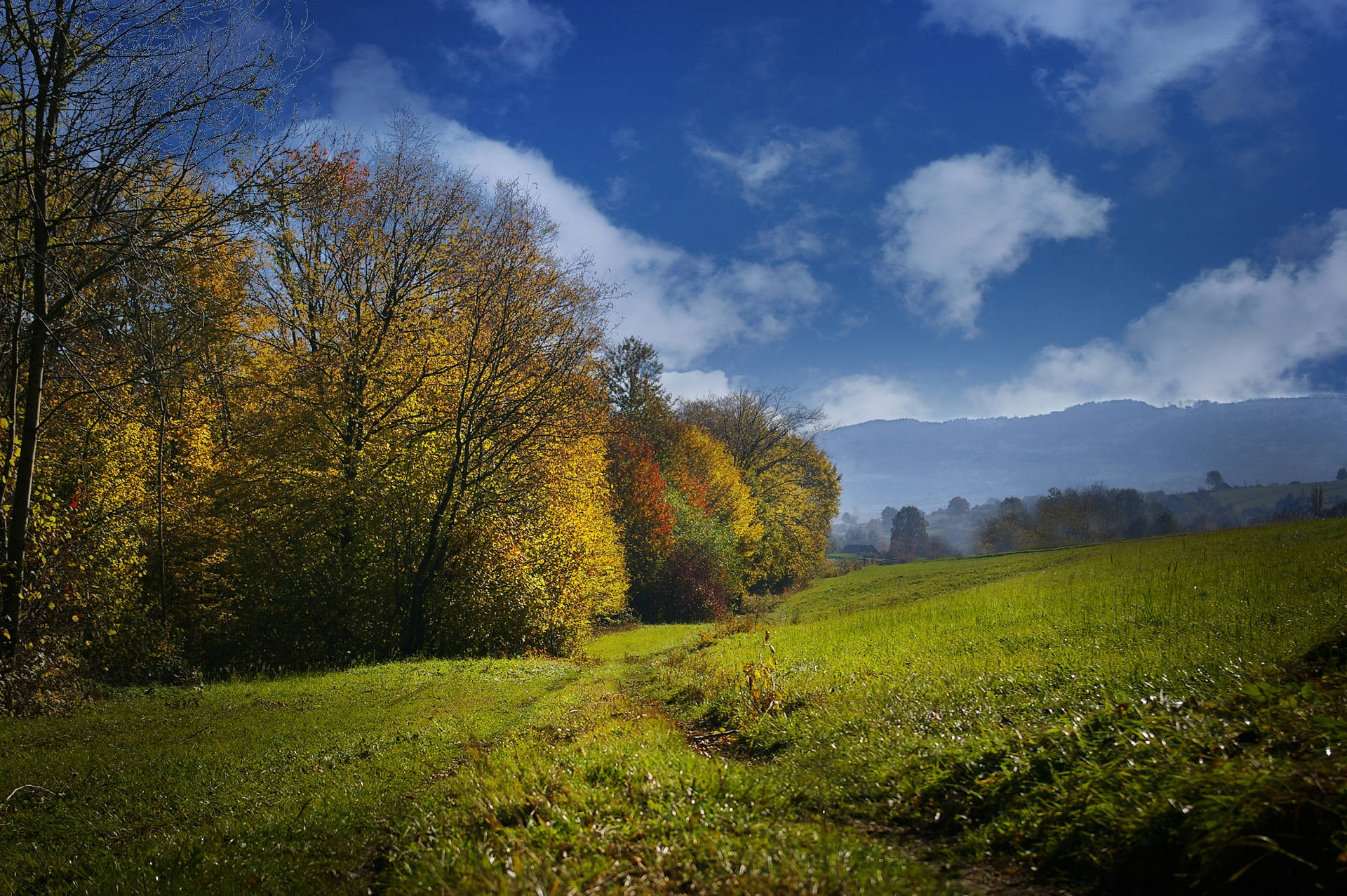 Green Field On Fall Scenic Background