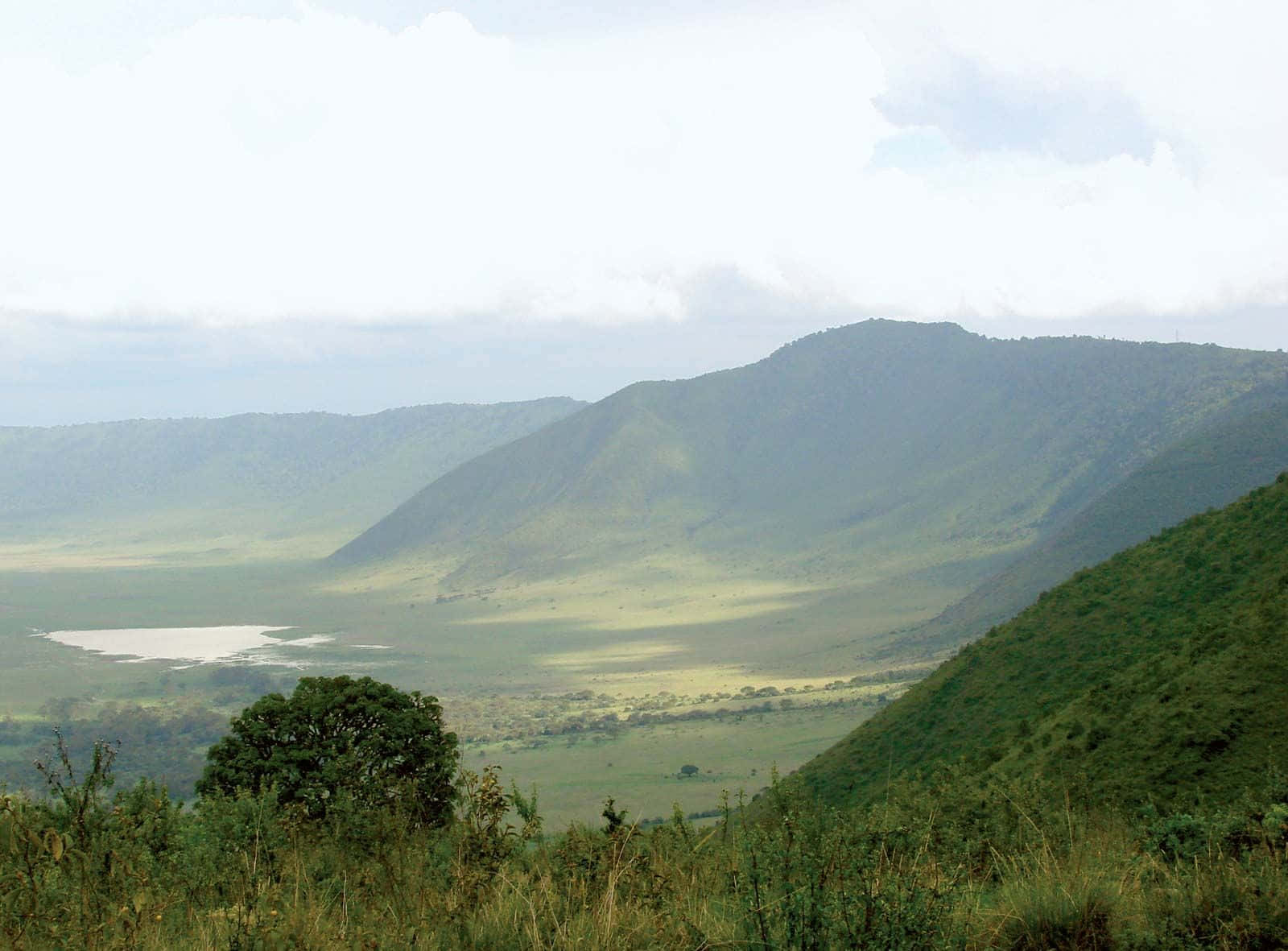 Green Field Scenery At The Tanzania Ngorongoro Crater Background