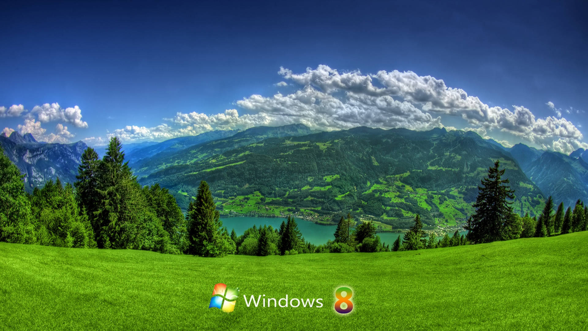 Green Field Windows 8 Nature Background Background