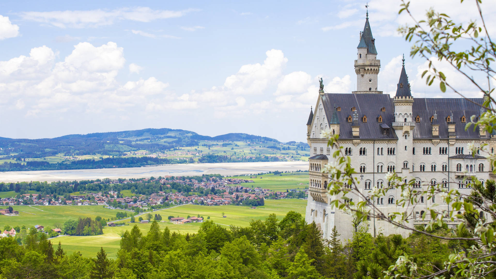 Green Fields Near Neuschwanstein Castle Background