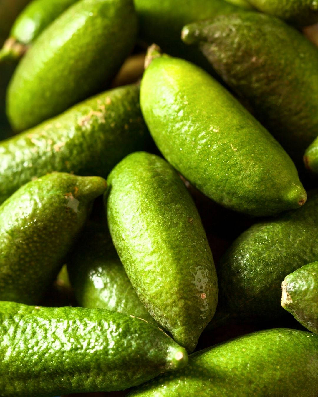 Green Finger Limes Background