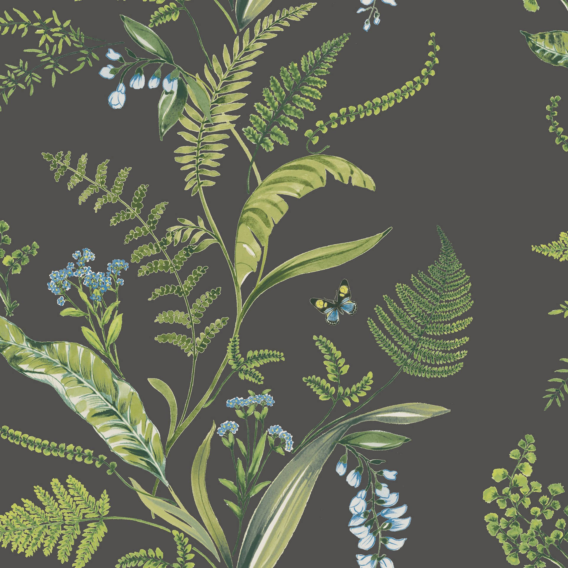 Green Floral Ferns Background