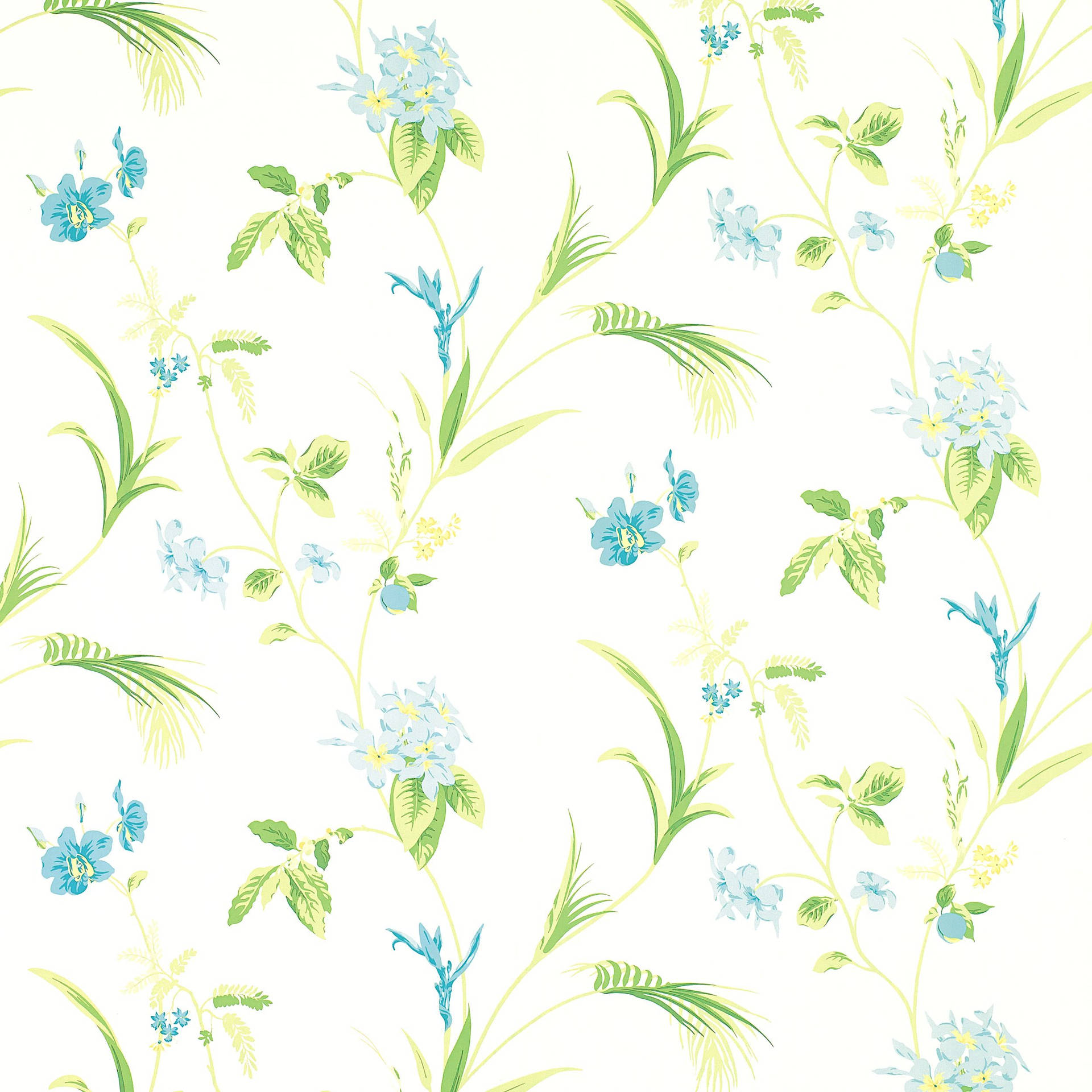 Green Floral Orchids Background