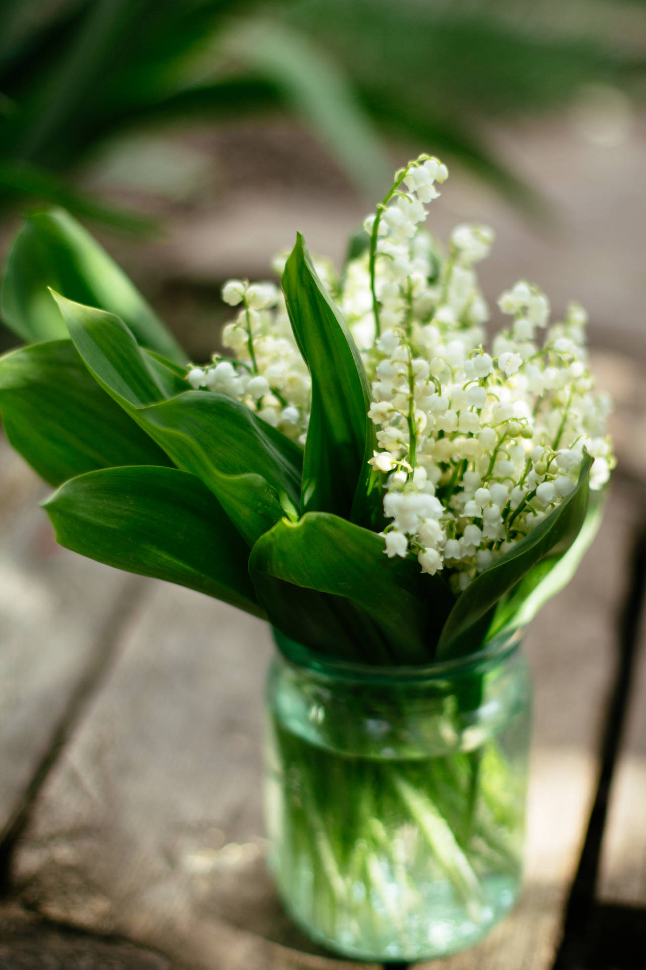 Green Floral Small Flowers Background