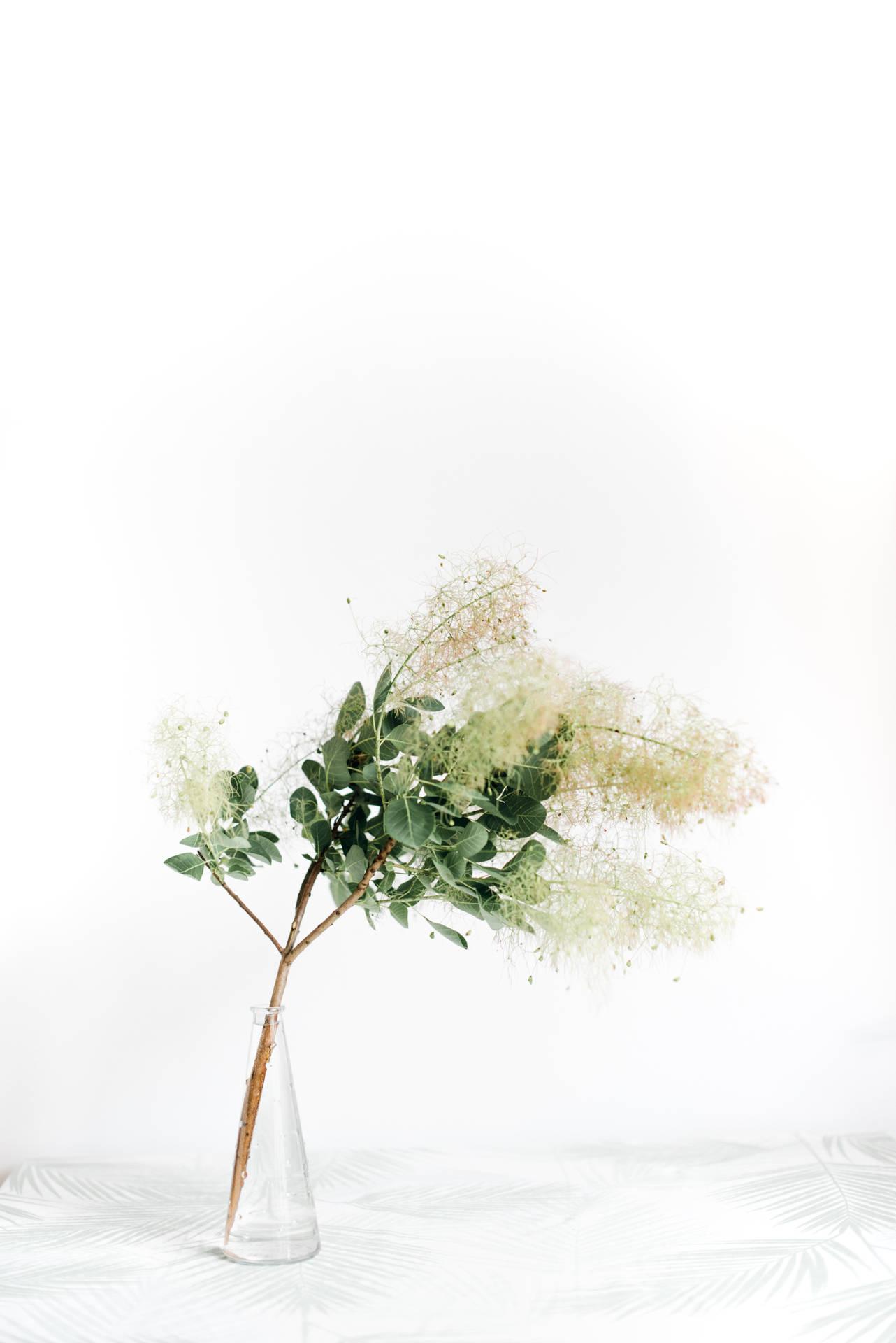 Green Floral Small Vase Background