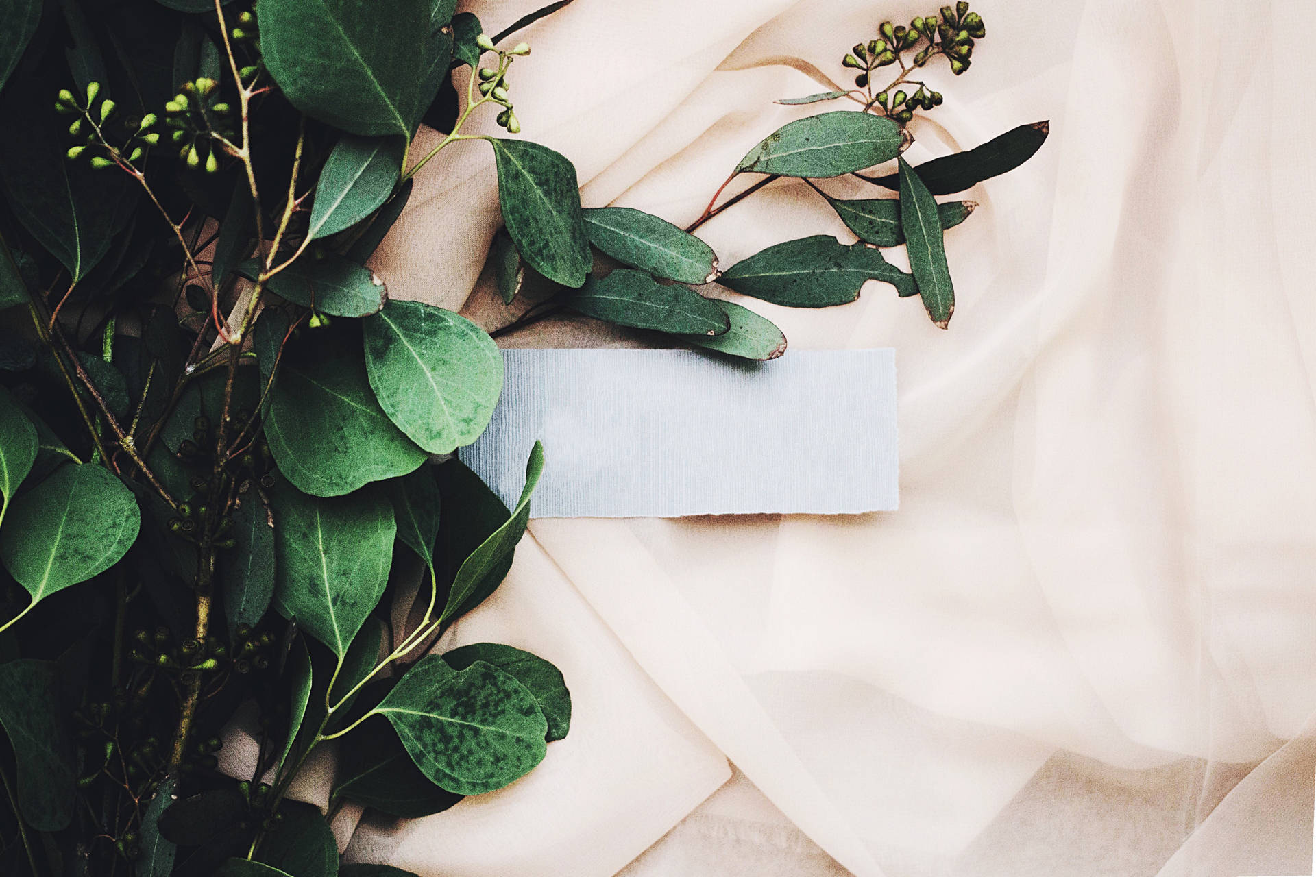 Green Floral White Textile Background