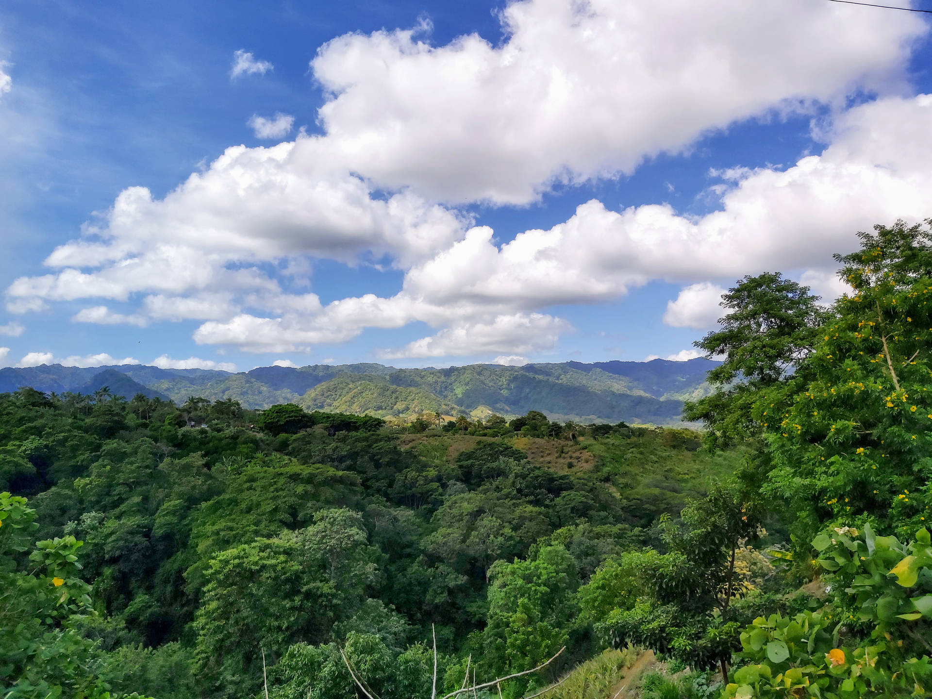 Green Forest And Blue Sky Nicaragua Background