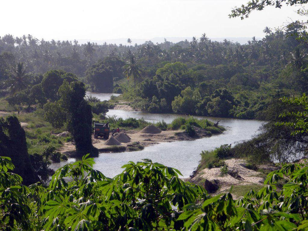 Green Forest And Stream Congo Background