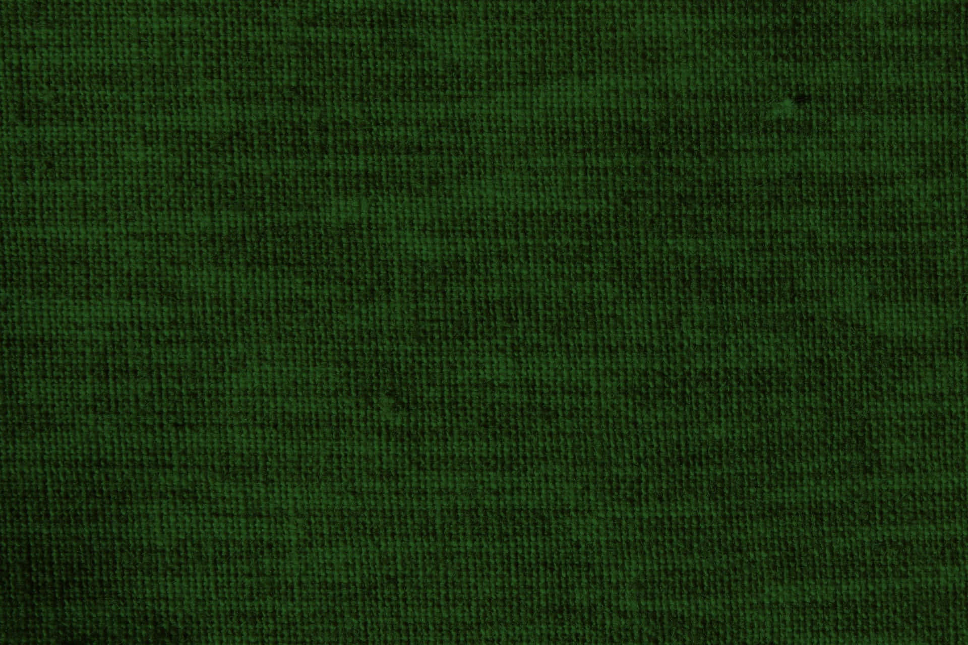 Green Forest Fabric