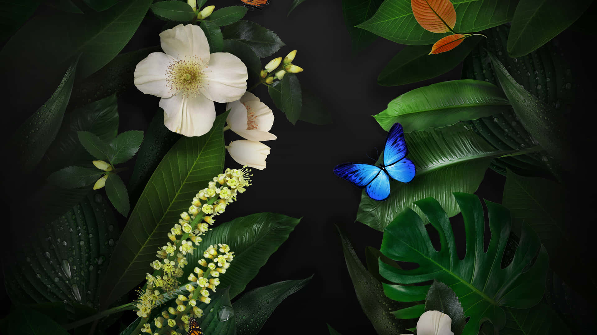 Green Forest Flowers And Butterflies Background