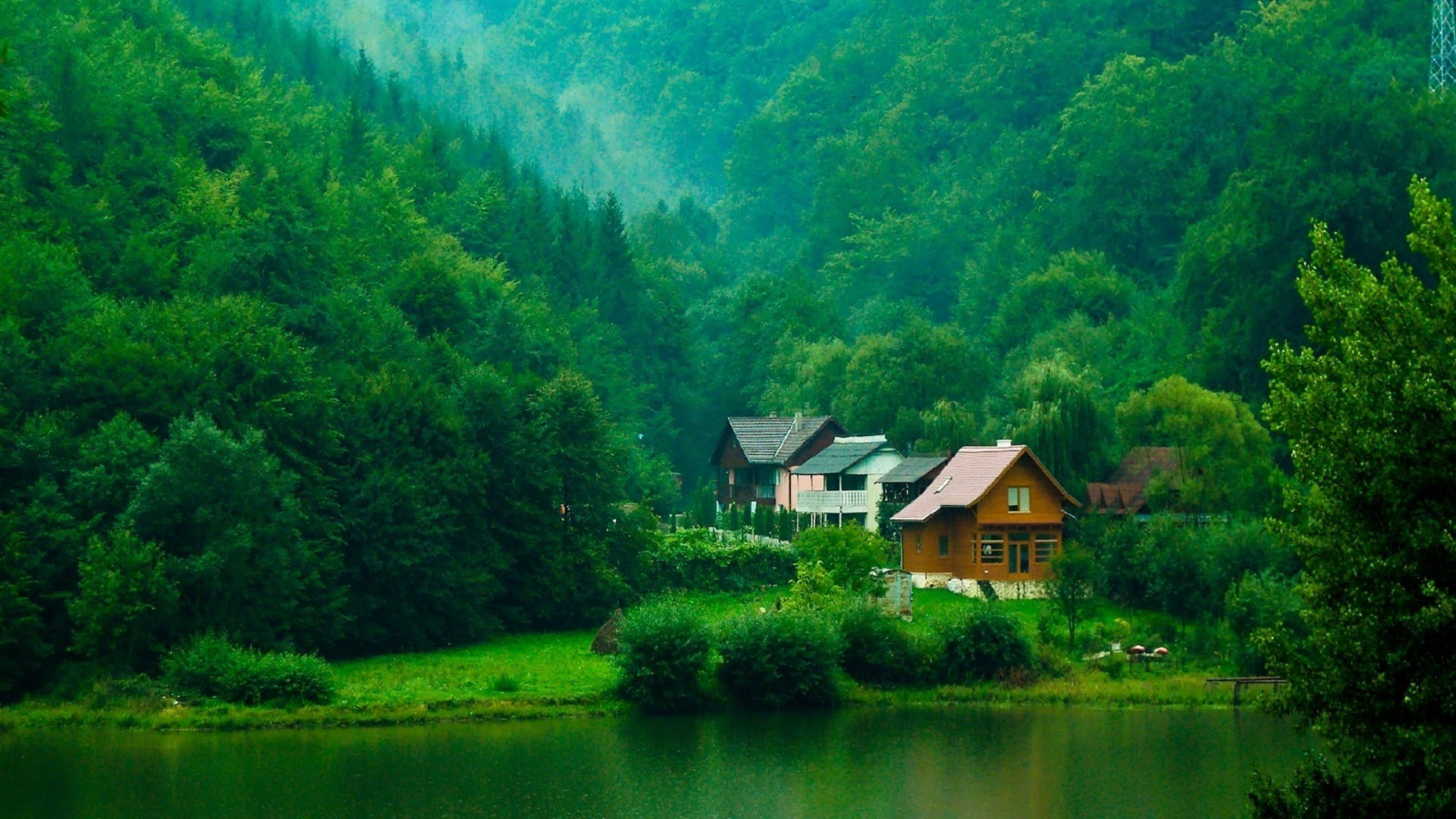 Green Forest Lake House Background